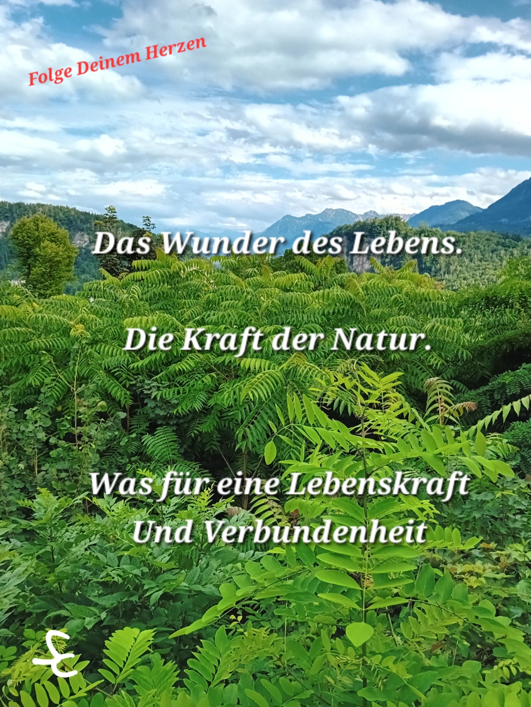 Wunder des Lebens. Kraft der Natur.