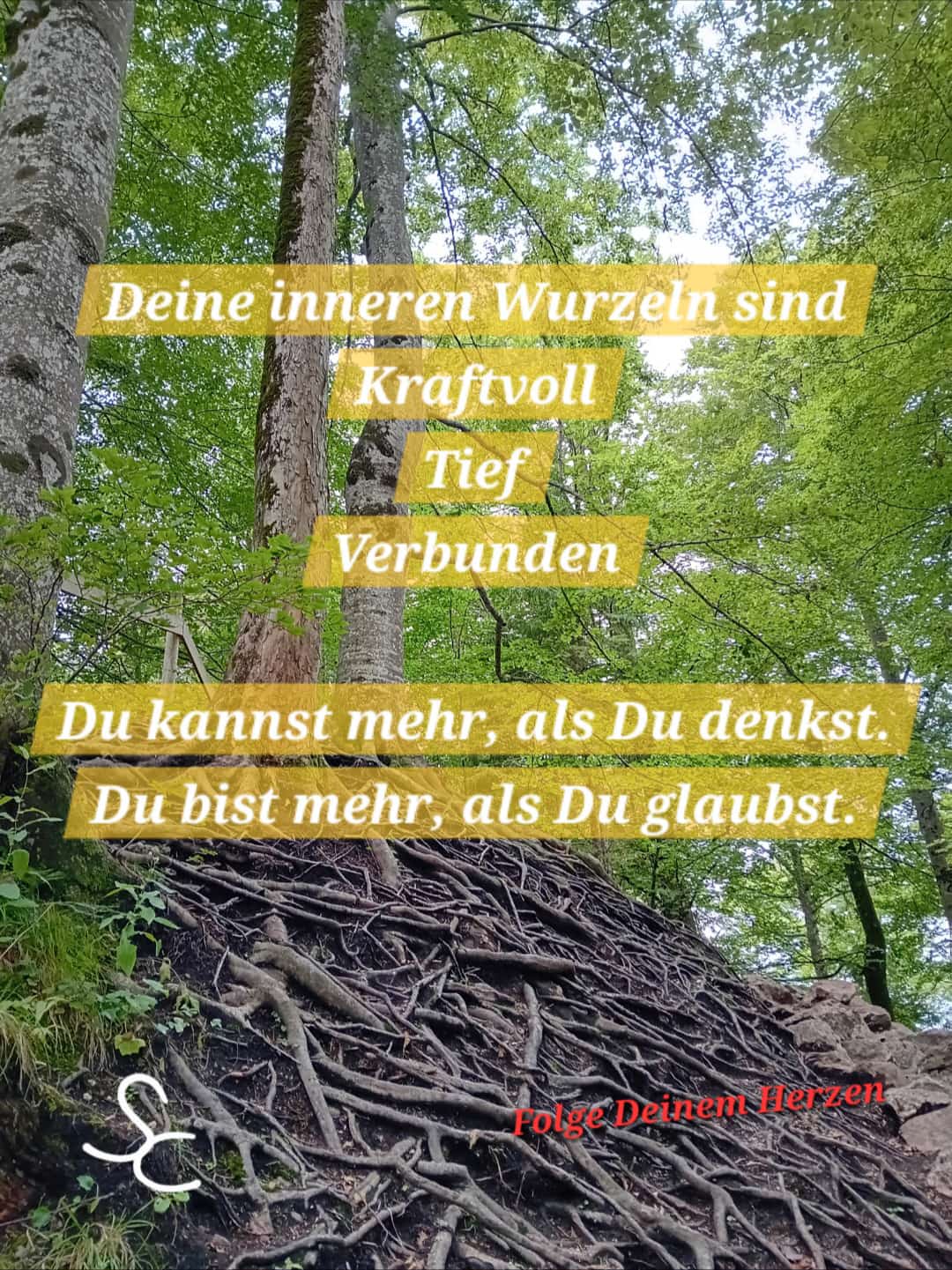 Deine inneren Wurzeln sind Kraftvoll, Tief, Verbunden