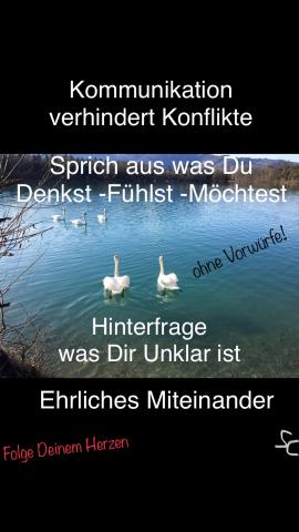 Kommunikation verhindert Konflikte