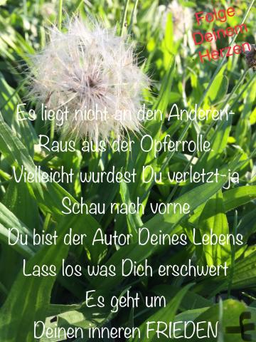 Raus aus der Opferrolle - hin zu innerem Frieden