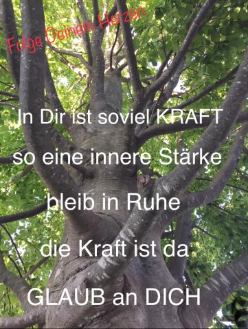 Die Kraft ist in Dir