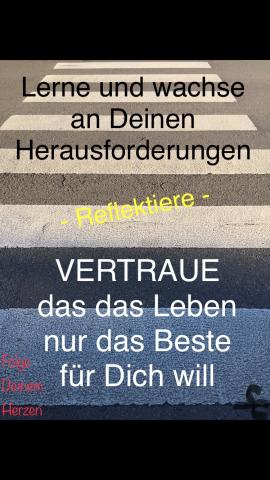 Wachse an Deinen Herausforderungen, Vertraue dem Leben