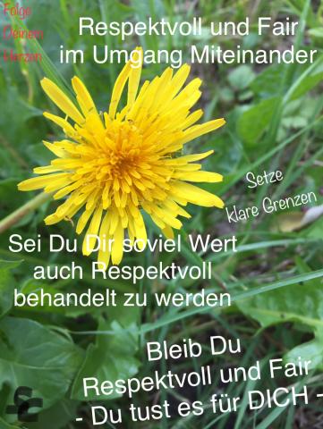 Respektvoll und Fair Miteinander