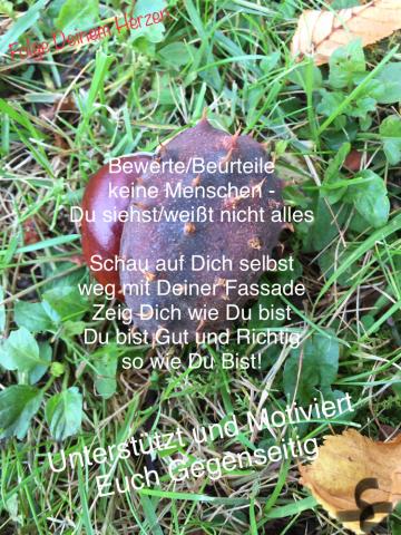 Weg mit der Fassade, Bewerte keine Menschen