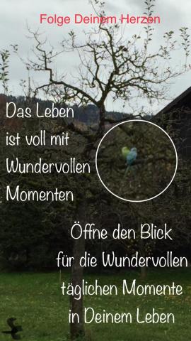 Wundervolle tägliche Momente