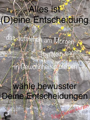 Alles ist (D)eine Entscheidung
