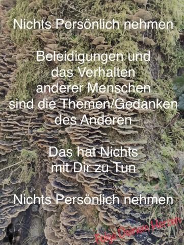 Beleidigungen, Verhalten anderer Nicht Persönlich nehmen