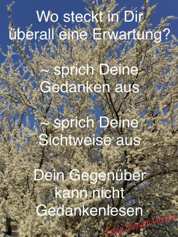 Erwartungen aussprechen