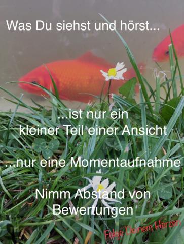 Was Du siehst und hörst ist nur ein kleiner Teil einer Ansicht