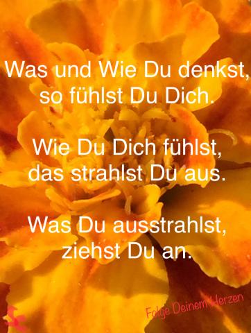 Was und Wie Du denkst, das ziehst Du an