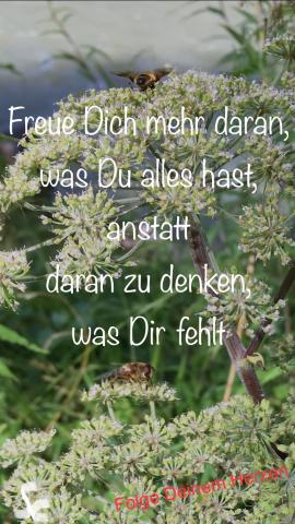 Freue Dich darüber was Du alles hast