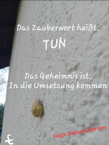TUN - in die Umsetzung kommen