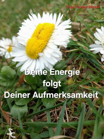 Energie folgt der Aufmerksamkeit