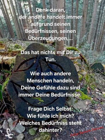 Hinter Handlungen, Gefühlen stehen Bedürfnisse