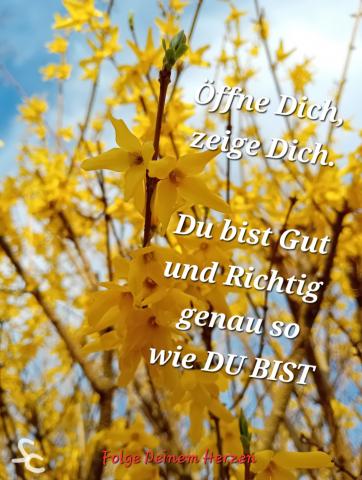 Du bist Gut und Richtig genau so wie DU BIST