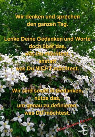 Gedanken und Worte darüber was Du möchtest anstatt was Du Nicht möchtest