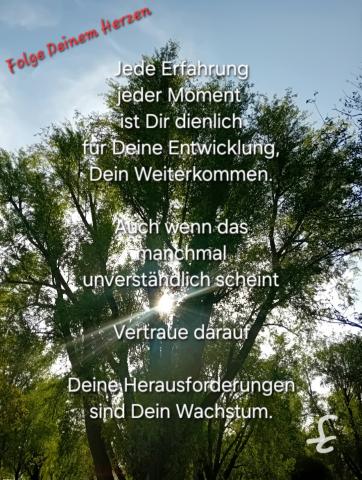 Deine Herausforderungen sind Dein Wachstum