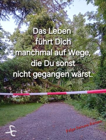 Das Leben führt Dich auf Wege, die Du sonst nicht gegangen wärst
