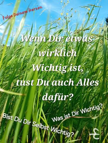 Was ist Dir Wichtig? Tust Du auch Alles dafür?