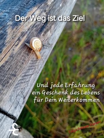 Der Weg ist das Ziel