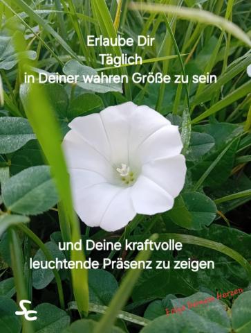 Täglich in Deiner wahren Größe Sein