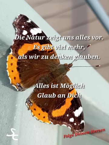 Die Natur zeigt uns alles vor - alles ist Möglich