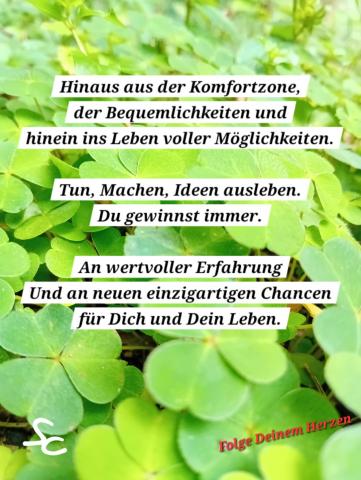 Hinaus aus der Komfortzone und hinein in das Leben