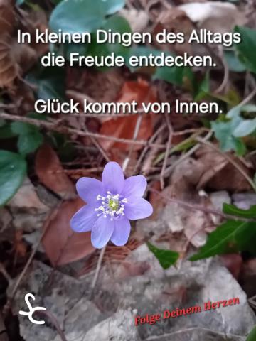 In kleinen Dingen Freude entdecken