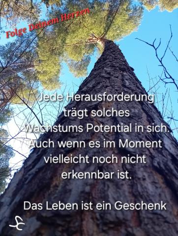 Jede Herausforderung trägt Wachstums Potential