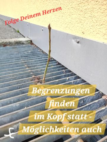 Begrenzungen finden im Kopf statt- Möglichkeiten auch