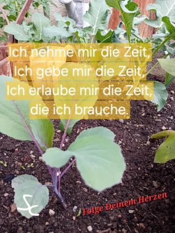 Ich erlaube mit die Zeit die ich brauche