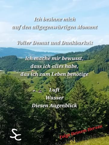 Alles was ich zum Leben benötige: Luft, Wasser, Diesen Augenblick