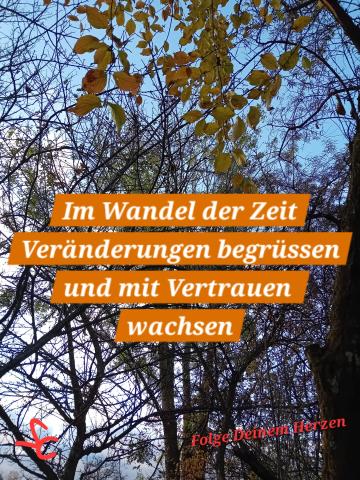 Veränderungen begrüßen und mit Vertrauen wachsen